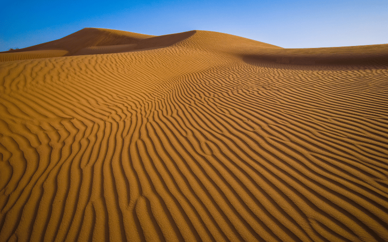 Wahiba Sands deserto Oman